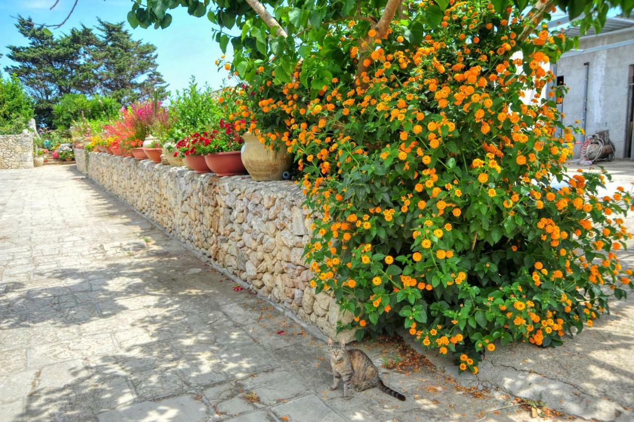 Residence Villa Grotta Monaca Otranto Ngoại thất bức ảnh